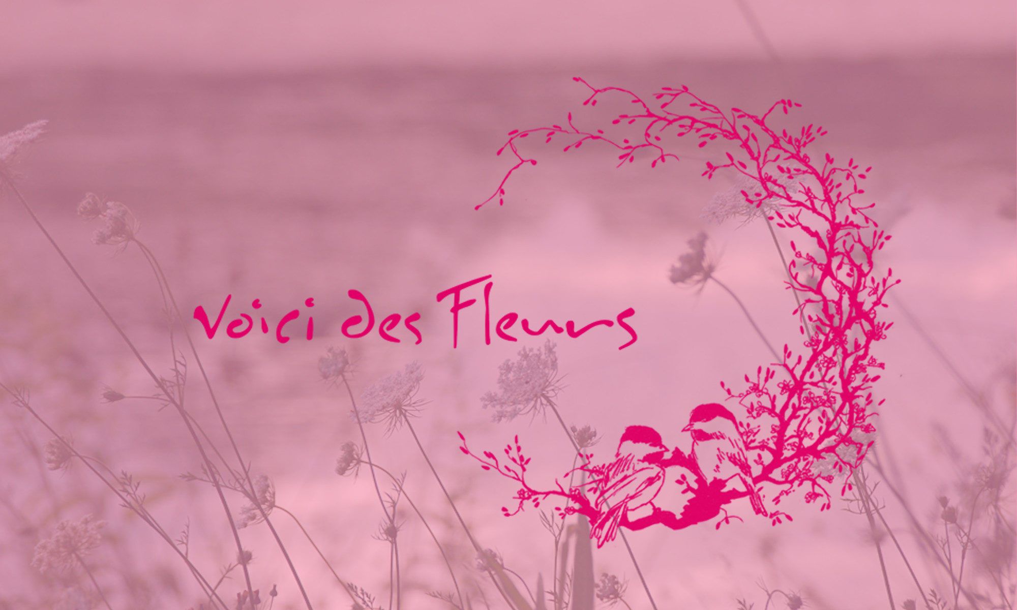 Voici Des Fleurs Francois Defosse